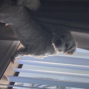 Meet your Posher, Kathy